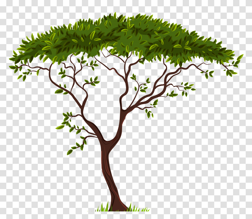 Exotic Tree Clip Art, Plant, Green, Leaf Transparent Png