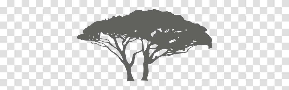 Exotic Tree Silhouette & Svg Vector File Exotic Tree Silhouette, Plant, Vegetable, Food, Bird Transparent Png