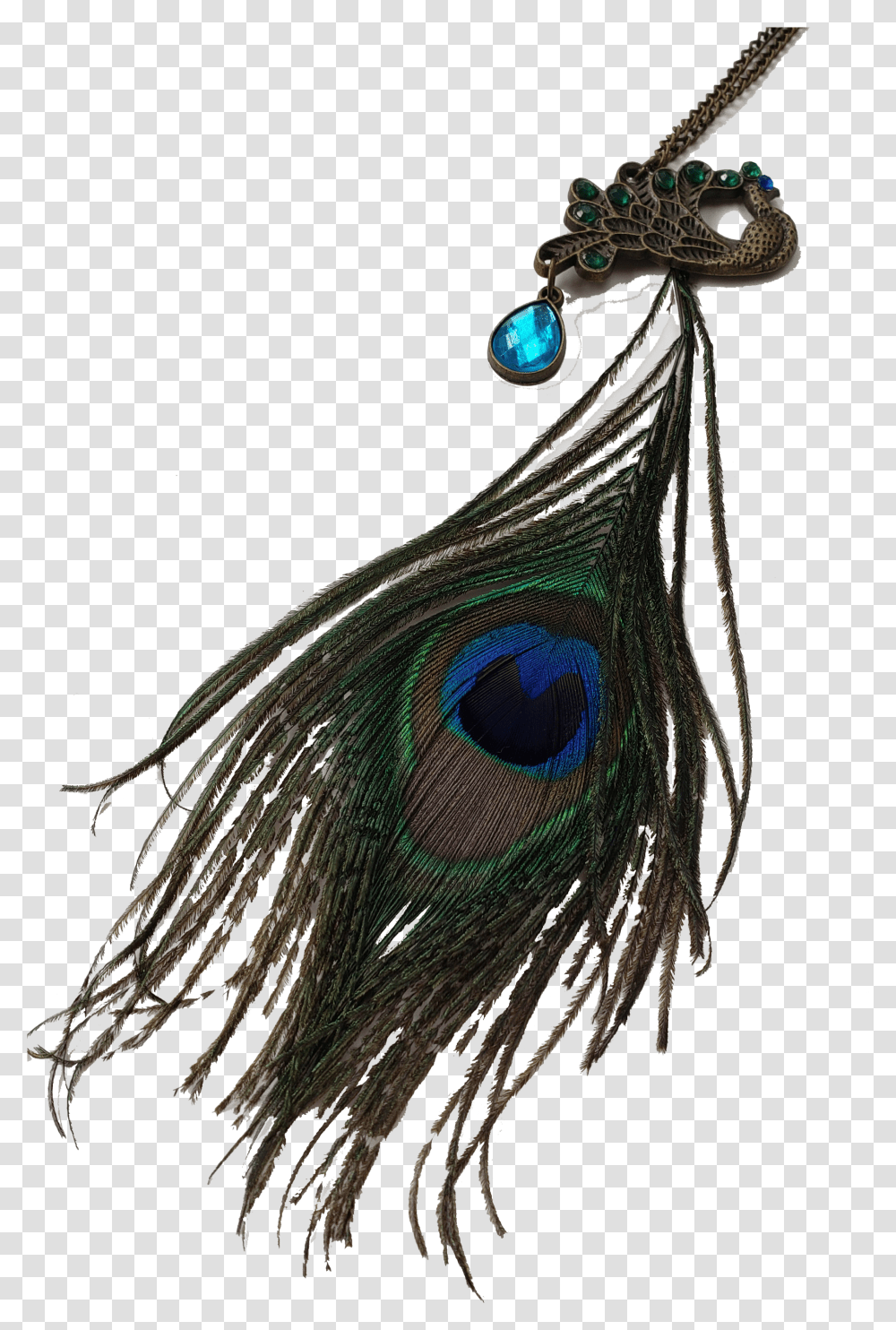 Exotica Peacock Feather Necklace Pendant Transparent Png