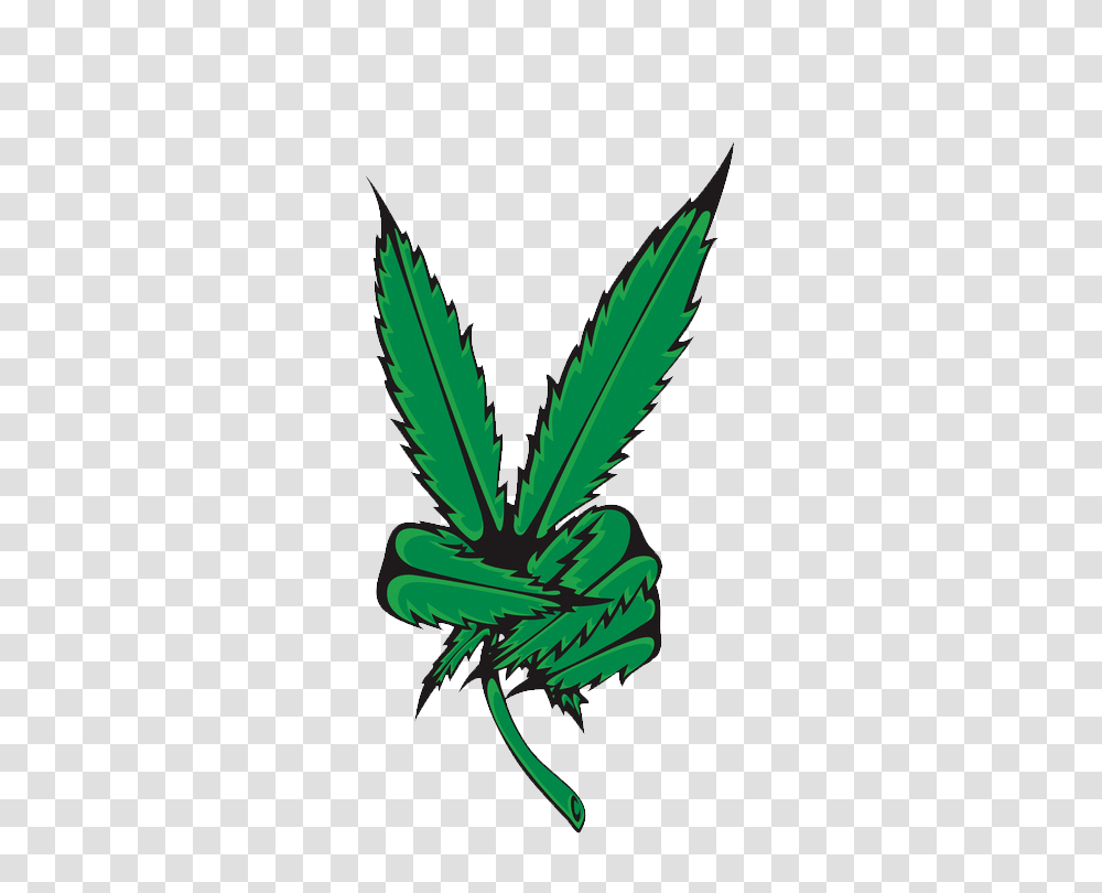 Expand, Plant, Leaf, Weed, Green Transparent Png