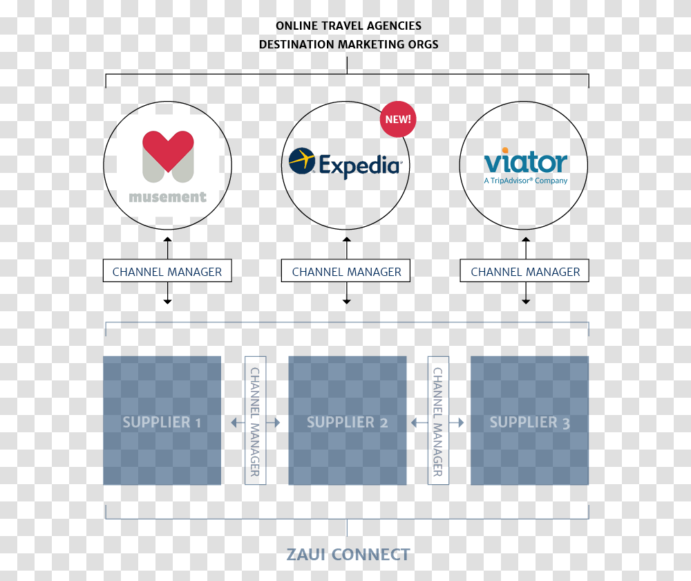 Expedia Joins Viator Musement And Others As Zaui Softwares Getyourguide Market Share, Plot, Diagram Transparent Png