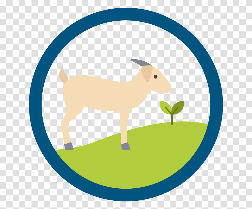 Expeditionary Learning Clip Art Moon, Mammal, Animal, Goat, Deer Transparent Png