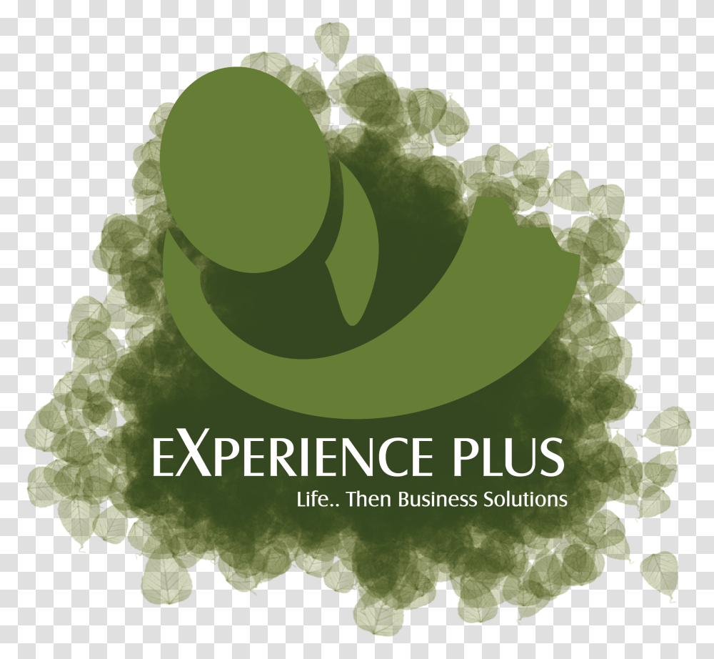 Experience Plus Icon Graphic Design, Green, Plant, Leaf, Painting Transparent Png