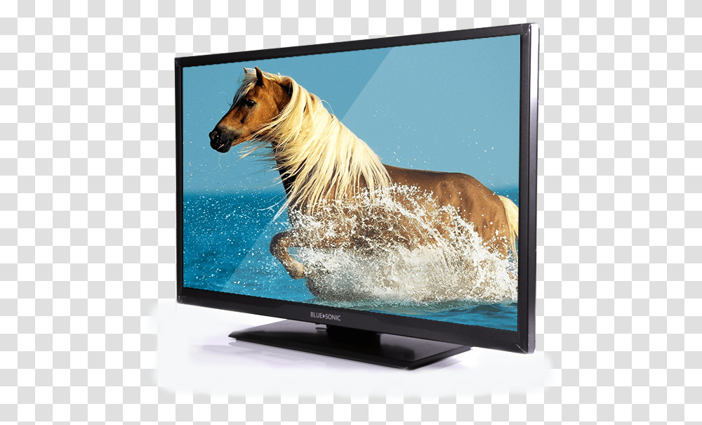 Experience The New Led Hd Wallpaper Of Animals, Monitor, Screen, Electronics, Display Transparent Png