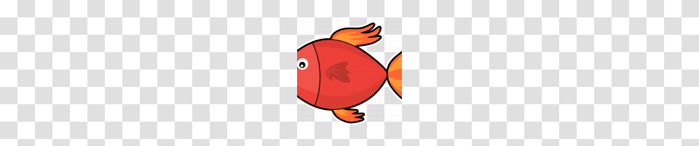 Expert Clipart Pictures Of Fish Free Images Download Clip Art, Baseball Cap, Hat, Apparel Transparent Png