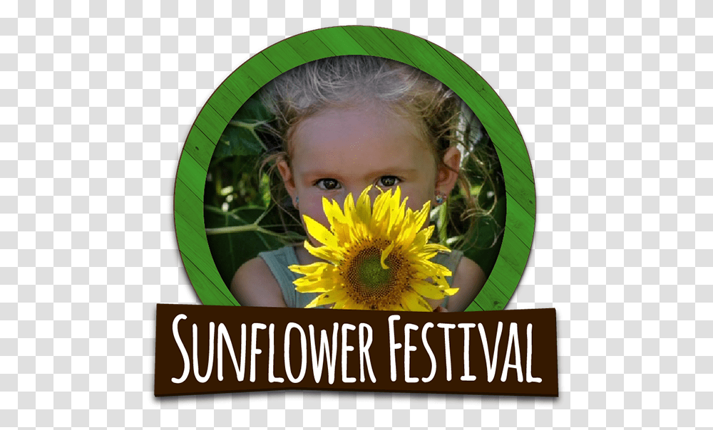 Explore Our Sunflower Fields During Our Annual Sunflower Sunflower, Plant, Person, Human, Blossom Transparent Png
