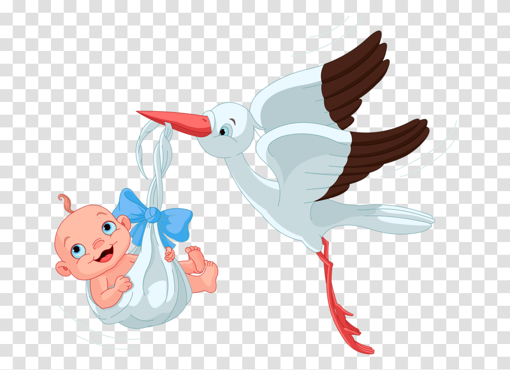 Explore Vector, Bird, Animal, Sweets, Food Transparent Png