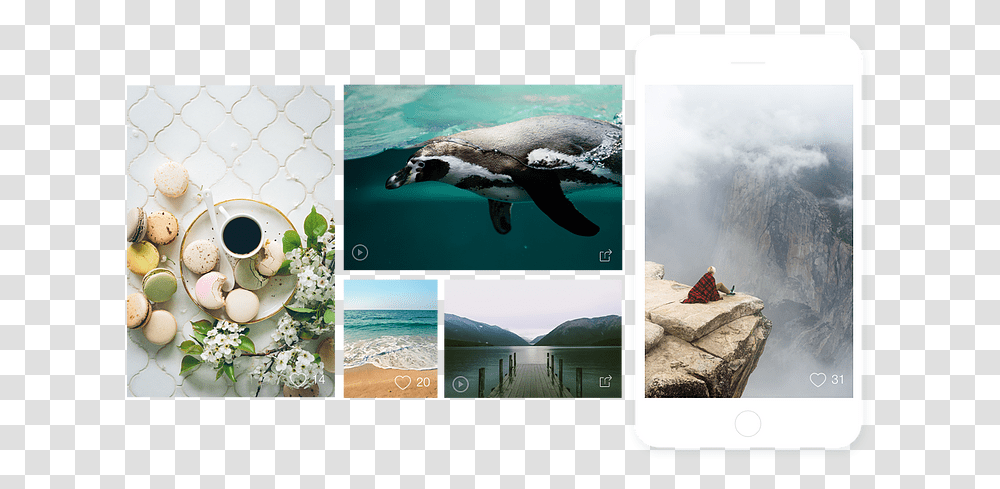 Explore Wix Website Examples Web Design Inspiration Wixcom Iphone, Bird, Animal, Plant, Collage Transparent Png