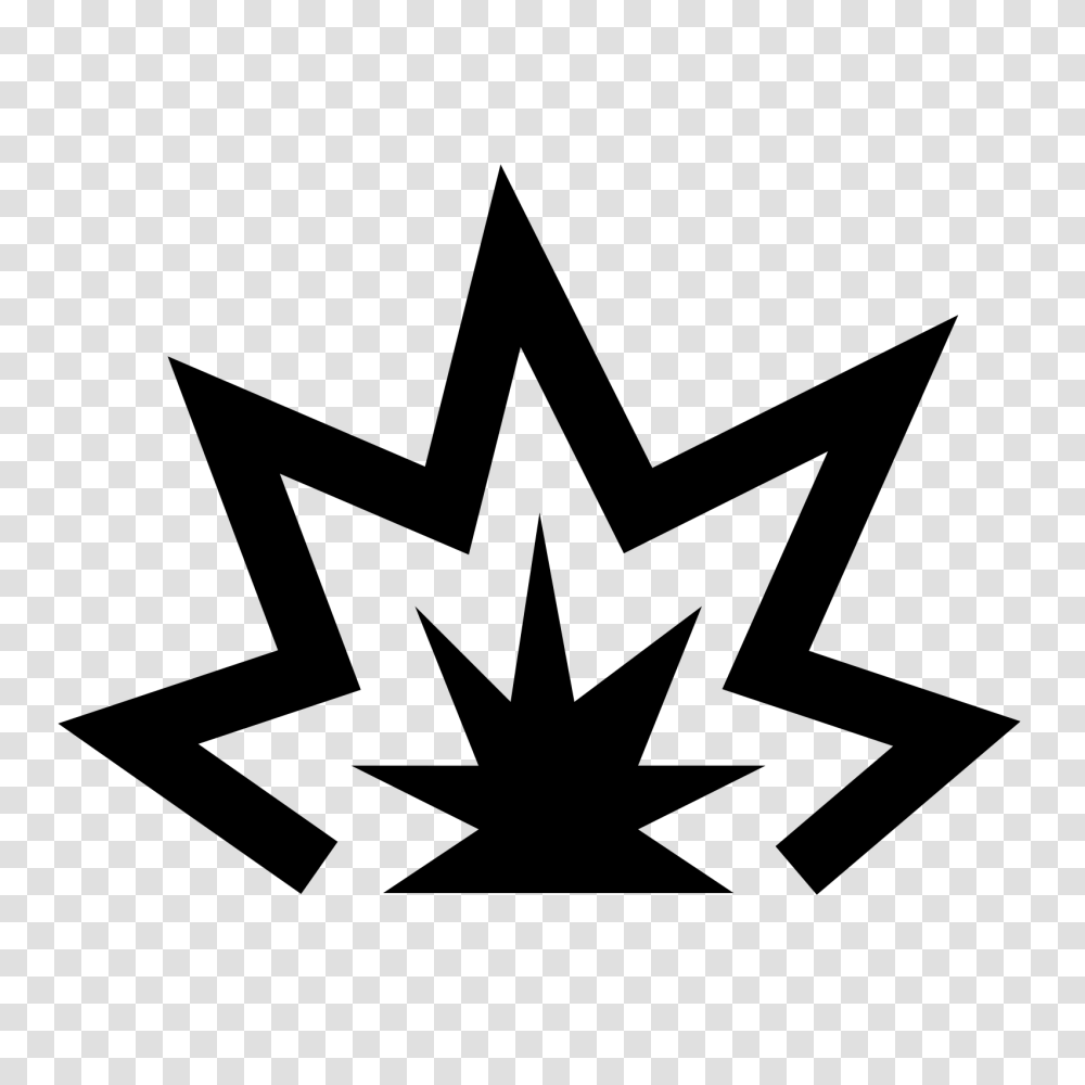 Explosion, Cross, Plant, Star Symbol Transparent Png