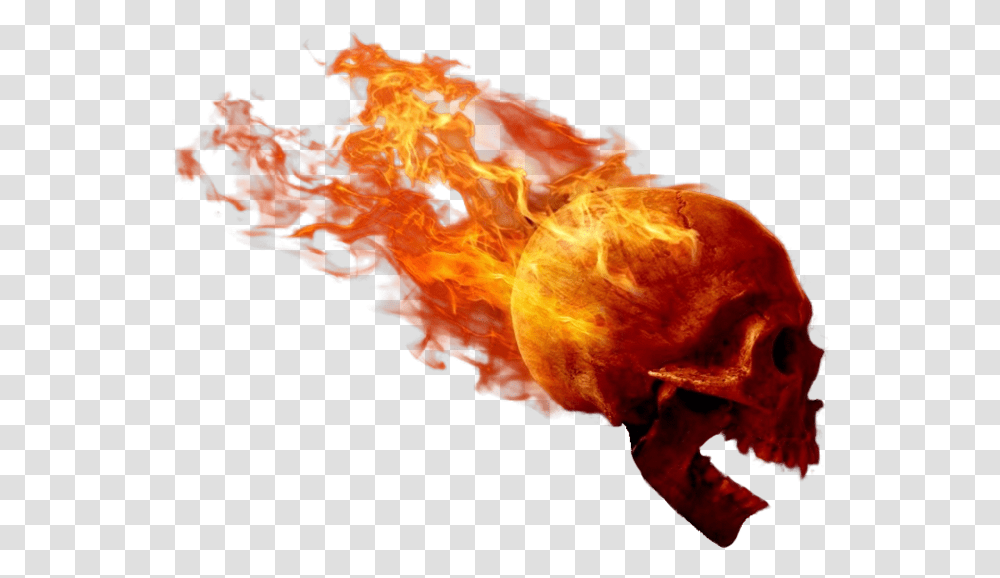 Explosion Fire Bomb Boom Nuke Fire Skull, Bonfire, Flame, Animal, Text Transparent Png