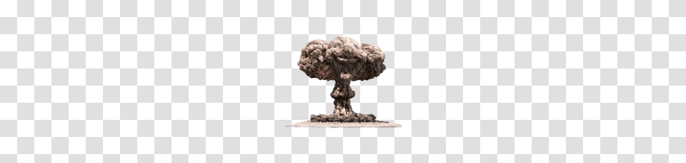 Explosion, Weapon, Fungus, Nuclear, Plant Transparent Png