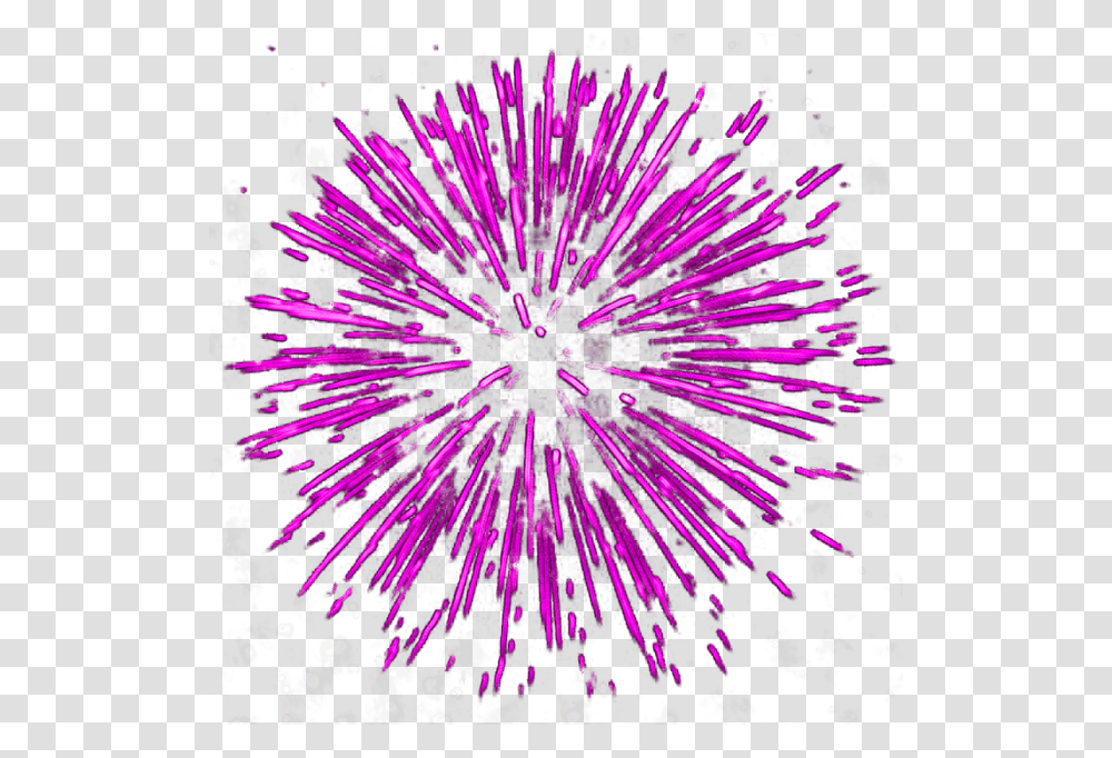 Explosions Firework Pattern, Purple, Outdoors, Sea Life, Animal Transparent Png