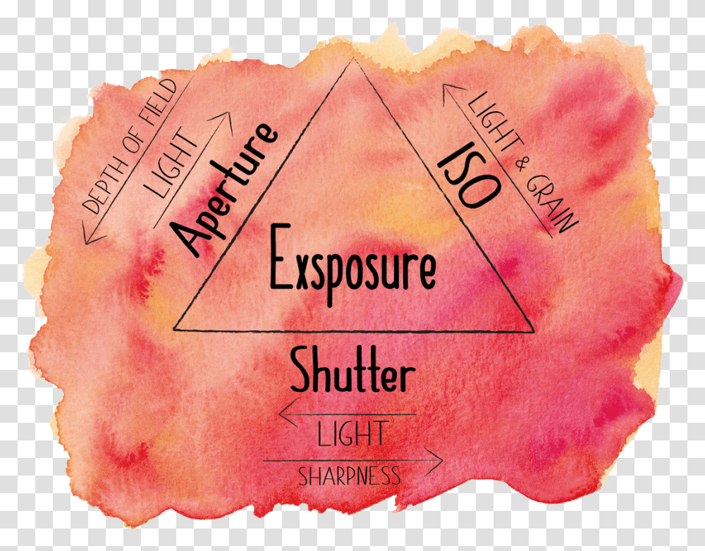 Exposure Triangle, Skin, Word, Label Transparent Png