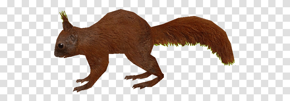 Extinct Animals Squirrel Animal Figure, Mammal, Dinosaur, Reptile, Kangaroo Transparent Png