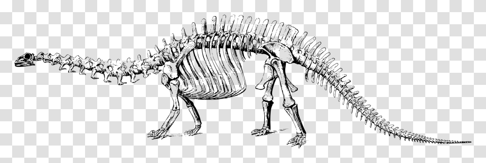 Extinct Clipart Brontosaurus Dinosaur Fossil Clipart, Gray, World Of Warcraft Transparent Png