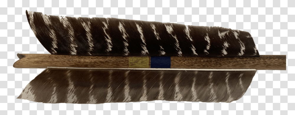 Extra Large 6 Inch Naturally Banded Feathers Scabbard, Axe, Furniture, Wood, Table Transparent Png