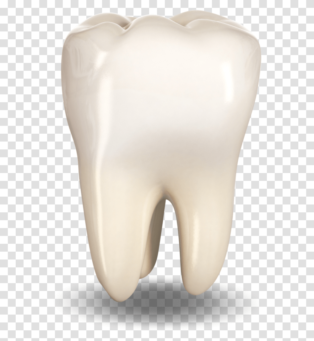 Extracted Tooth Bone, Diaper, Jar, Light Transparent Png