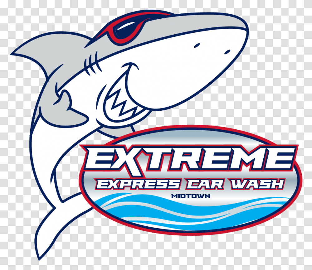 Extreme Express Car Wash San Jose California Shark Car Wash, Sea Life, Animal, Label, Text Transparent Png
