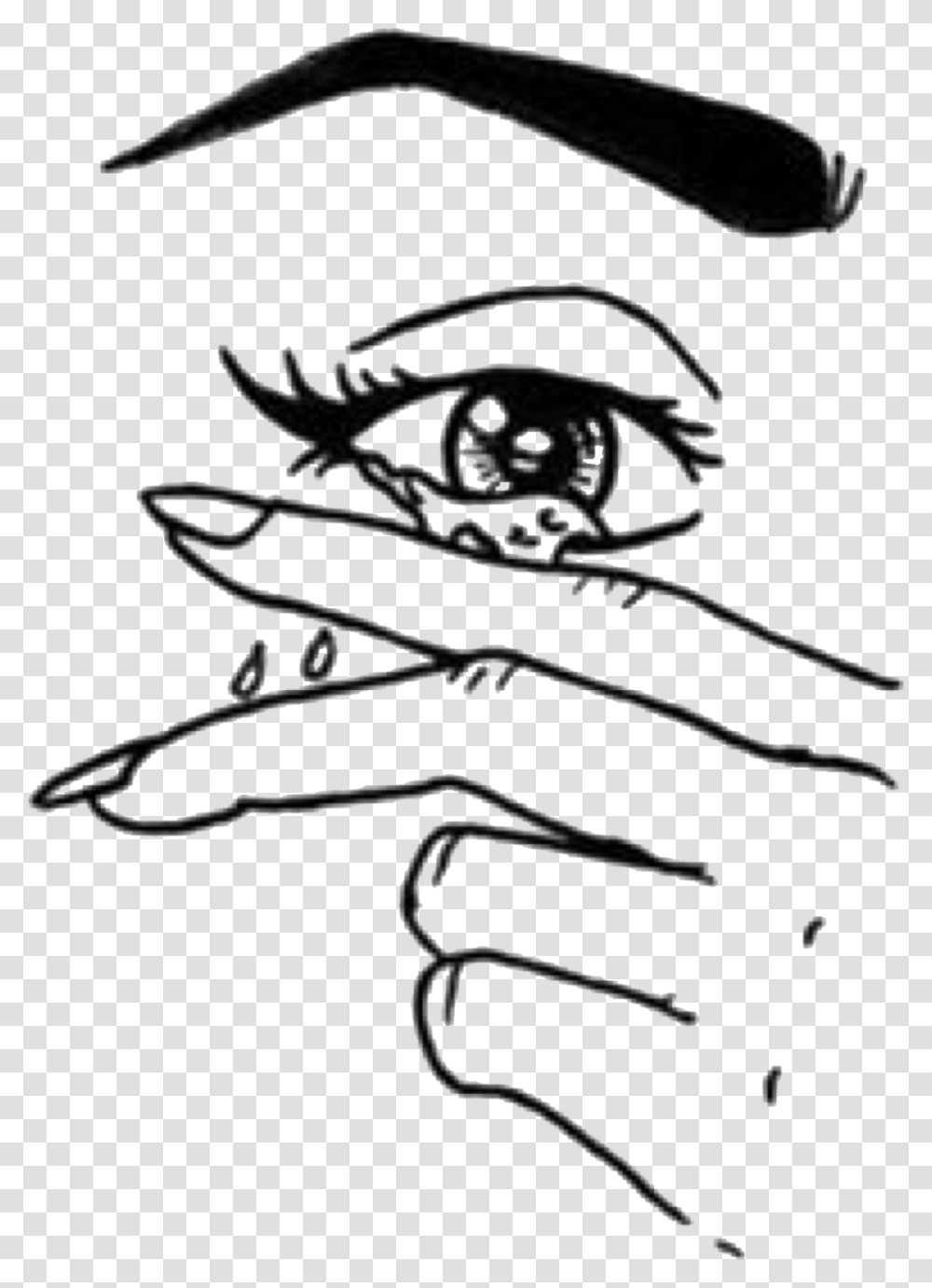 Eye Brow Heartbreak Images For Boy, Pirate, Animal Transparent Png