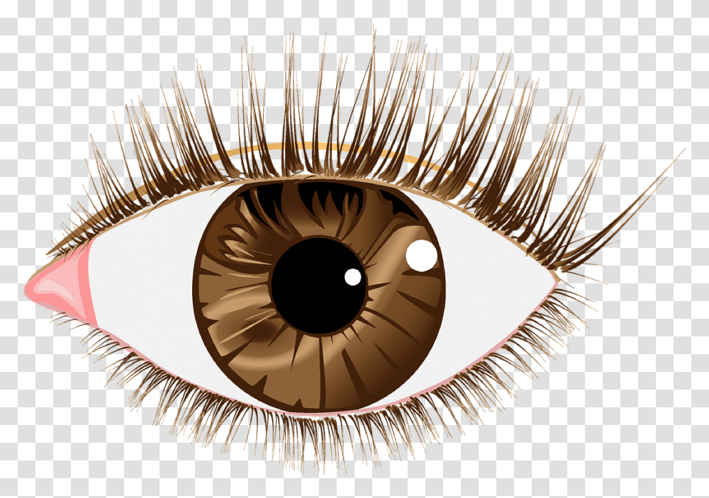 Eye Brown Lashes Free Picture, Chandelier, Lamp, Photography, Crowd Transparent Png
