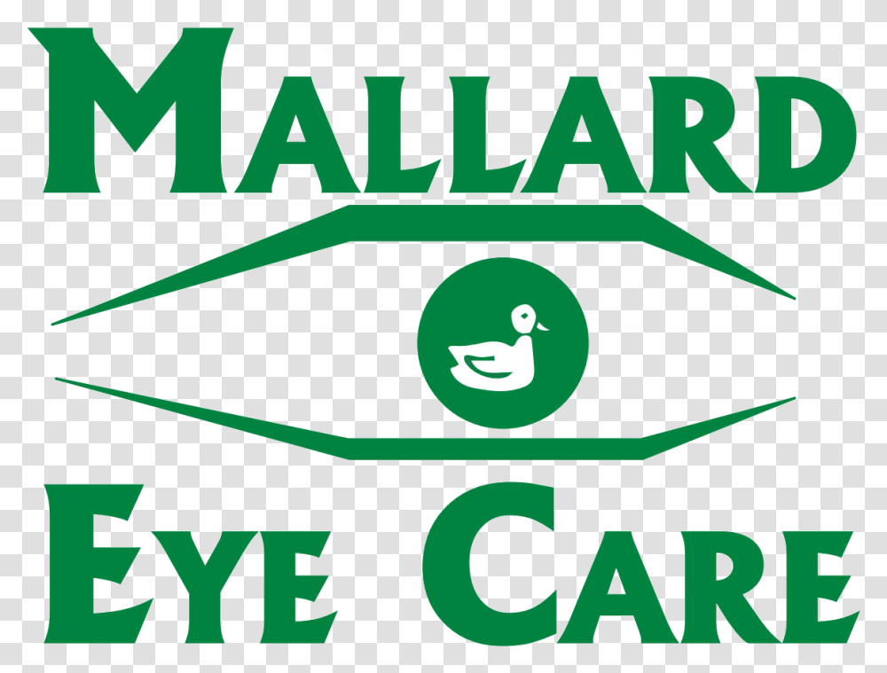 Eye Care Experts In Spring Hill Tn Graphic Design, Word, Text, Vegetation, Plant Transparent Png