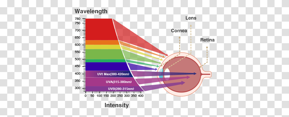 Eye Care Technology Blue Light And Eye, Outdoors, Graphics, Art, Nature Transparent Png