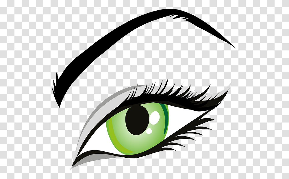 Eye Cliparts, Bird, Animal, Floral Design Transparent Png