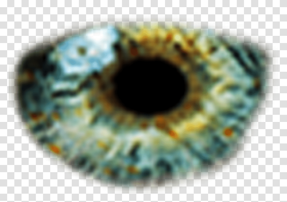 Eye Color Green Eye Transparent Png