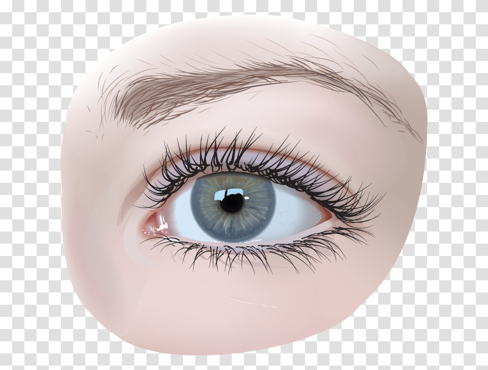 Eye, Contact Lens, Drawing, Skin Transparent Png
