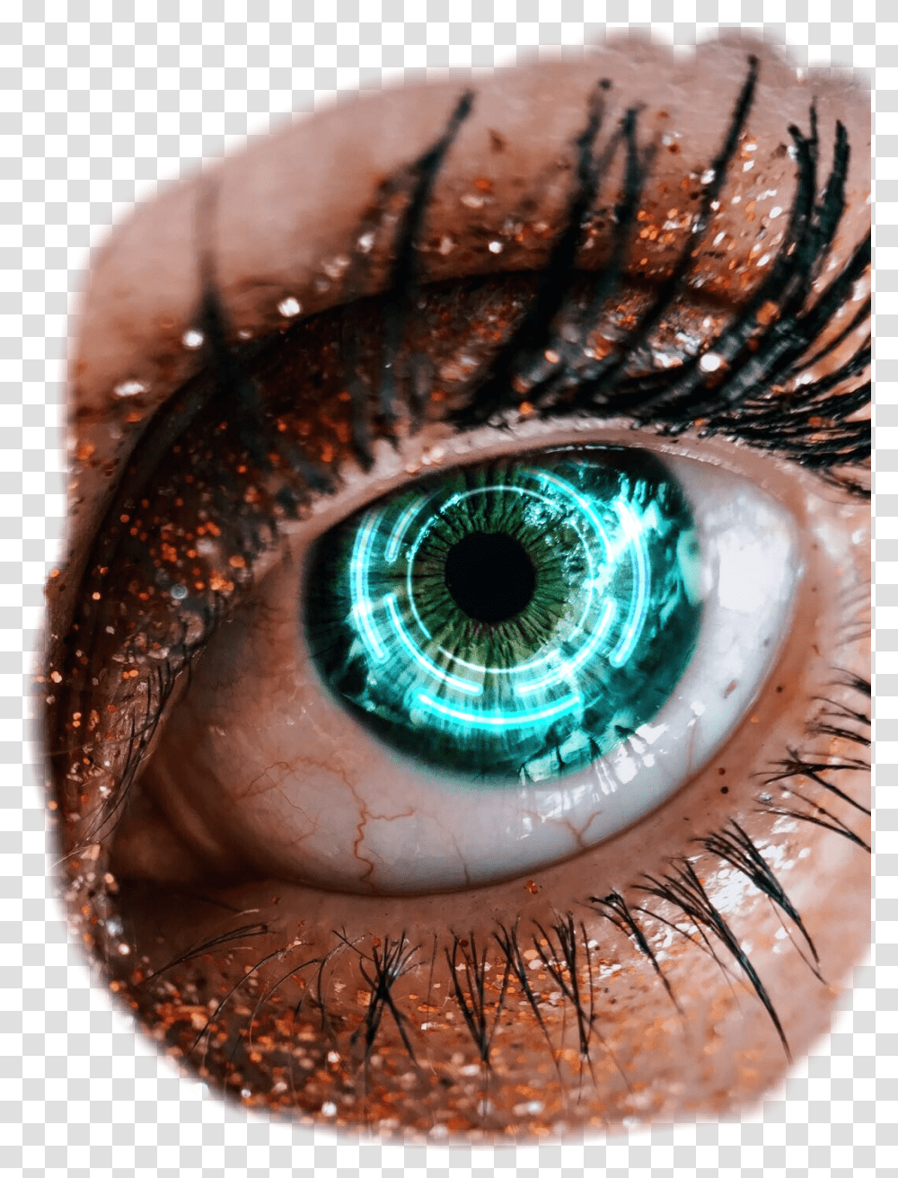 Eye, Contact Lens, Photography, Handrail, Banister Transparent Png