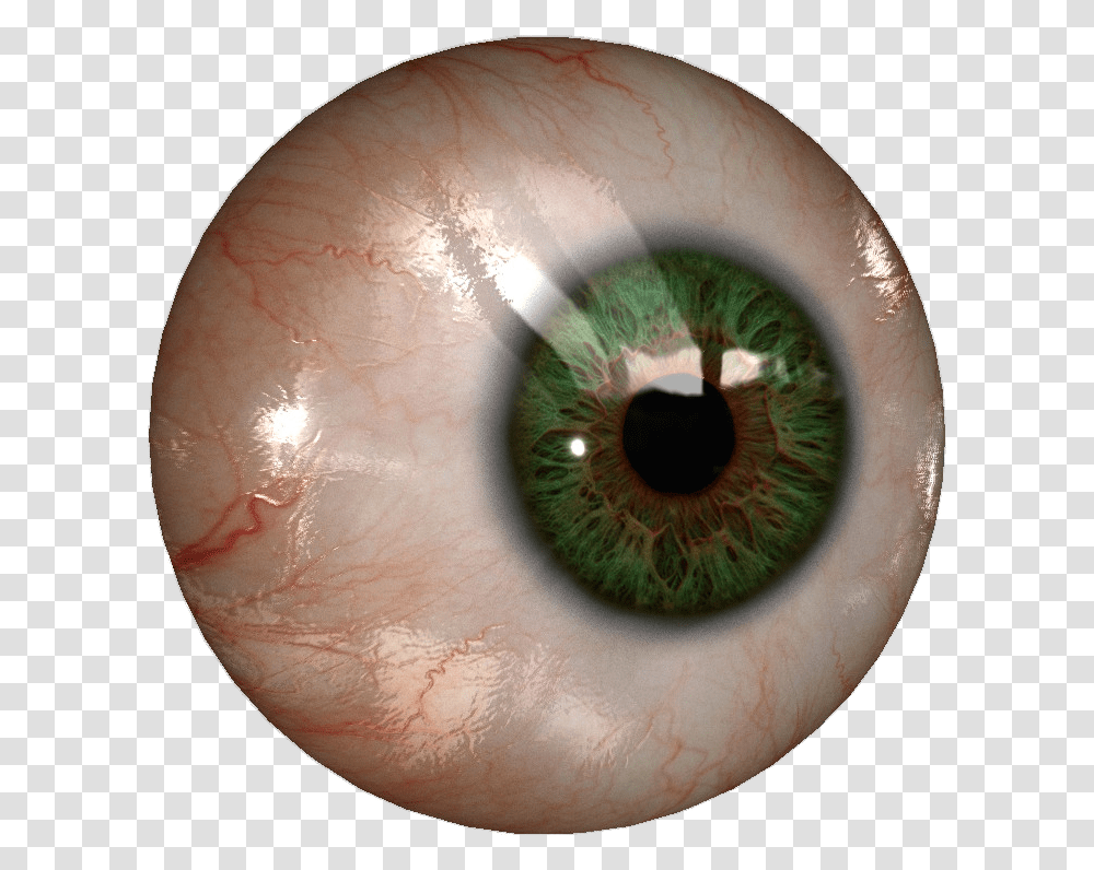 Eye, Contact Lens, Sphere, Person, Human Transparent Png