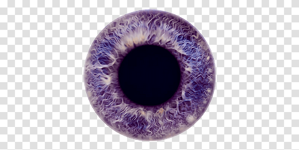 Eye Eyecolor Purple Violet Lavender Color Iris Violet Eyes Background, Rug, Hole, Photography, Tape Transparent Png