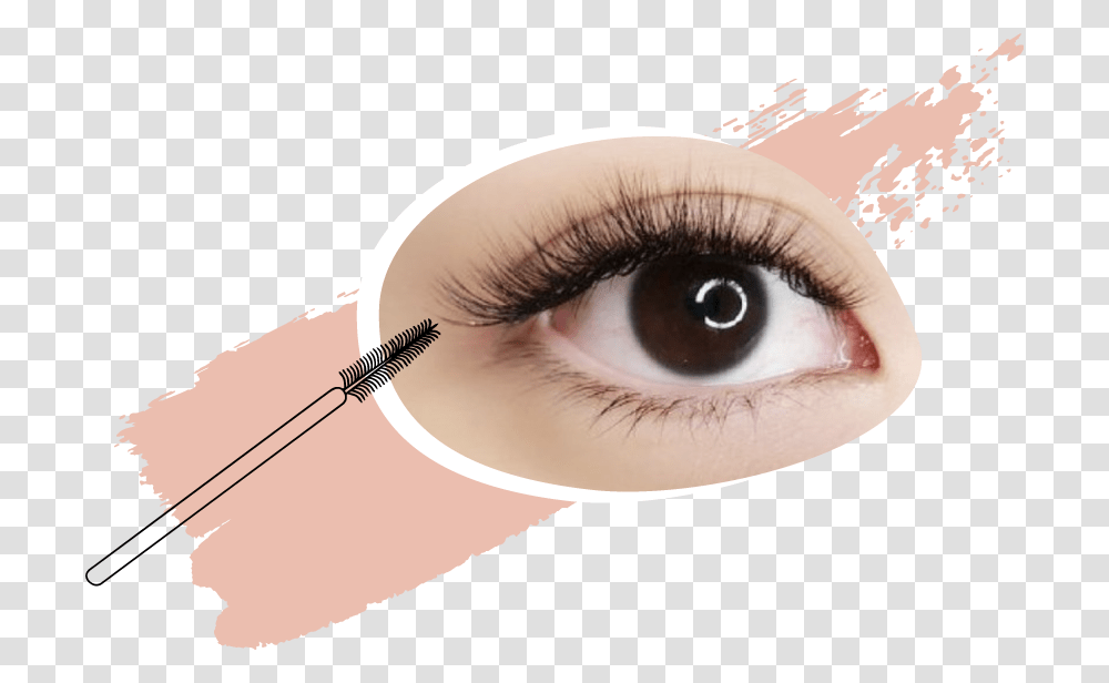 Eye Eyelash Extensions, Contact Lens, Cosmetics, Person, Human Transparent Png