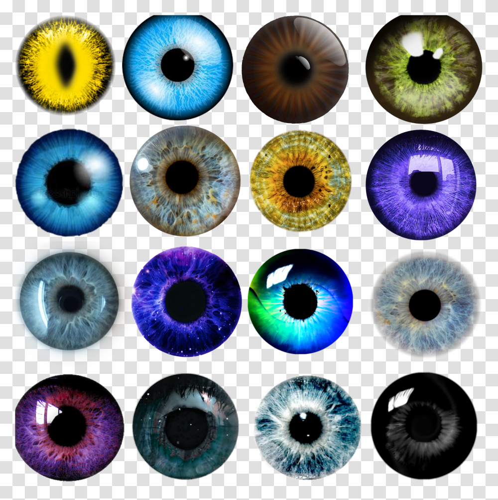Eye Eyes Eyeball Eyeballs Sticker By Jaime Iconos De Remodelacion Transparent Png