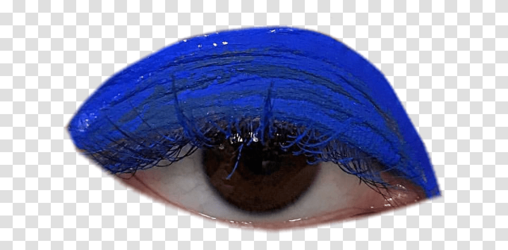 Eye Eyes Pngs Blue Aesthetic Makeup Freetoedit Eye Shadow, Clam, Seashell, Invertebrate, Sea Life Transparent Png
