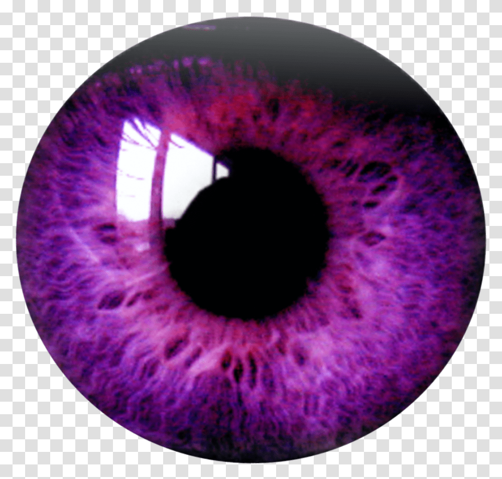 Eye Eyes Purple Burgundy Violet Purpleeyesremixit Ftest Purple Eye Lens, Rug, Sphere, Photography, Hole Transparent Png