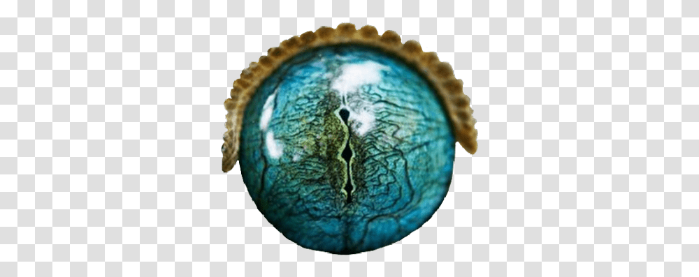 Eye Eyes Reptile Crocodile Alligator Scales Water Reptile Eyes, Sphere, Turquoise, Mold, Fungus Transparent Png