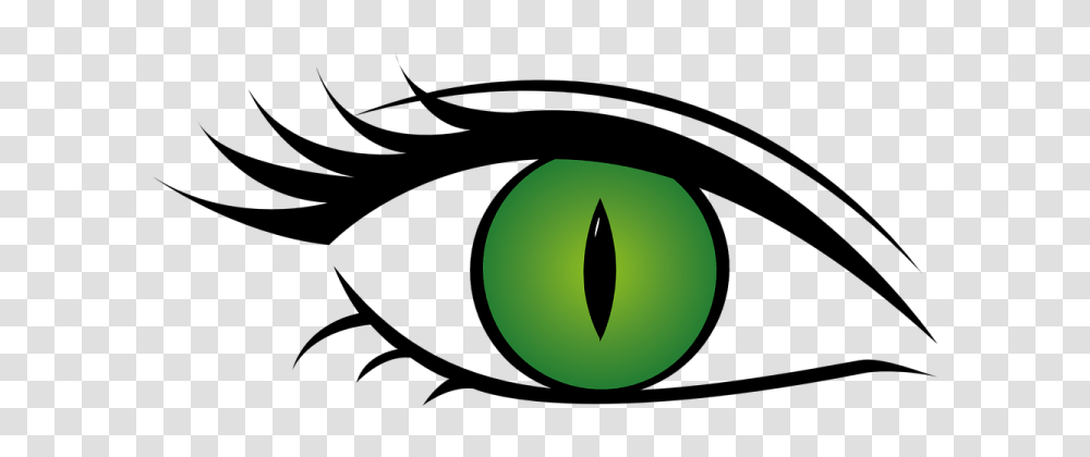 Eye, Green, Plant Transparent Png