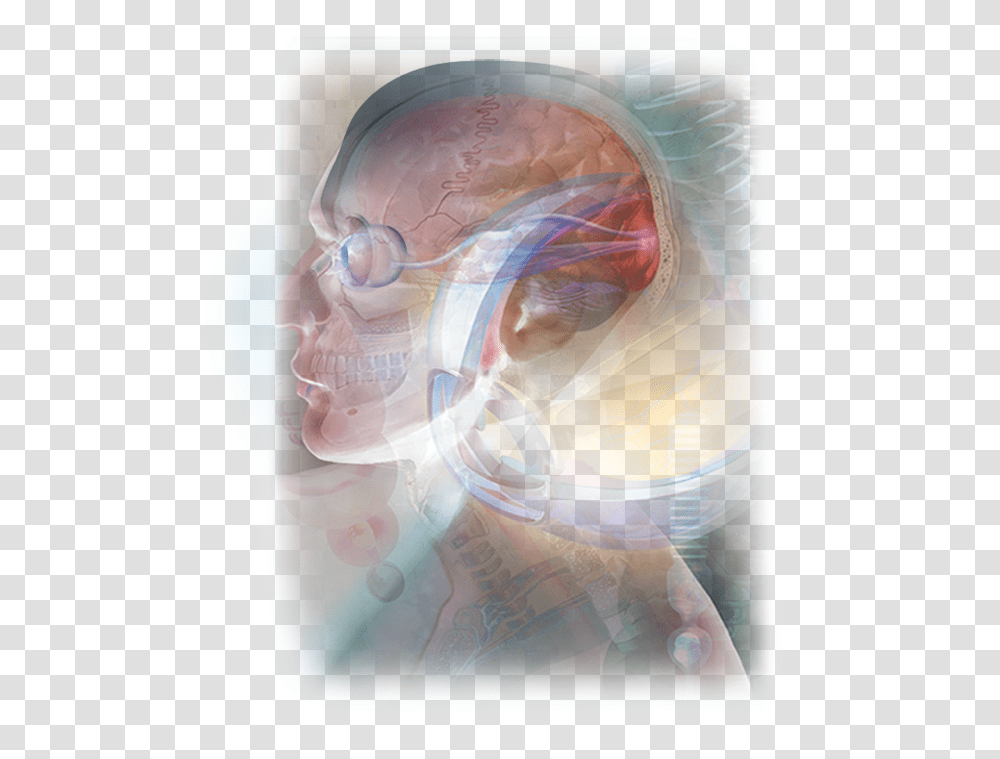 Eye Head Brain Illustration, Diaper, Money, Painting Transparent Png