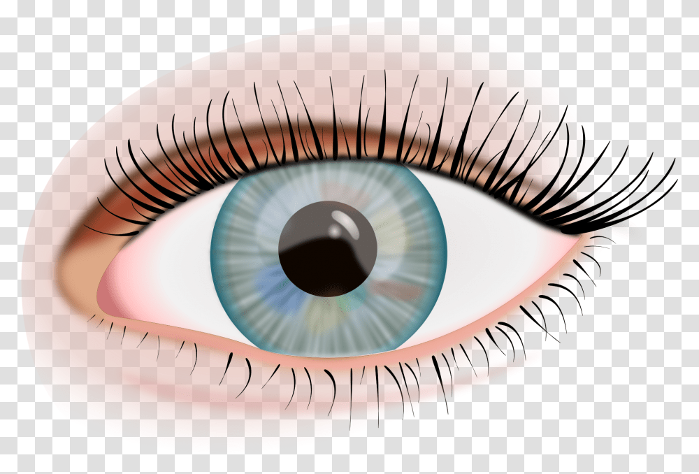 Eye Image Ojo Humano, Contact Lens Transparent Png