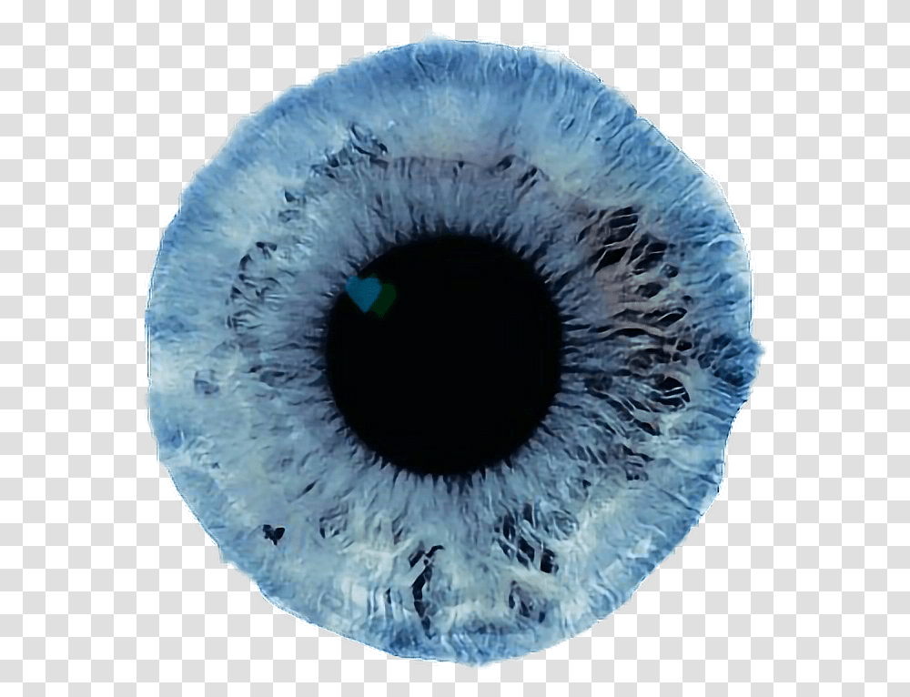 Eye Iris Eyeball Blue Blueeye Remixme Blue Eyes Texture, Sea Life, Animal, Photography, Invertebrate Transparent Png