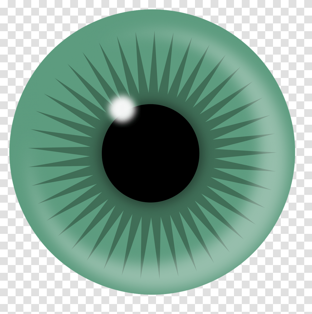 Eye Iris, Green, Photography, Hole, Plant Transparent Png
