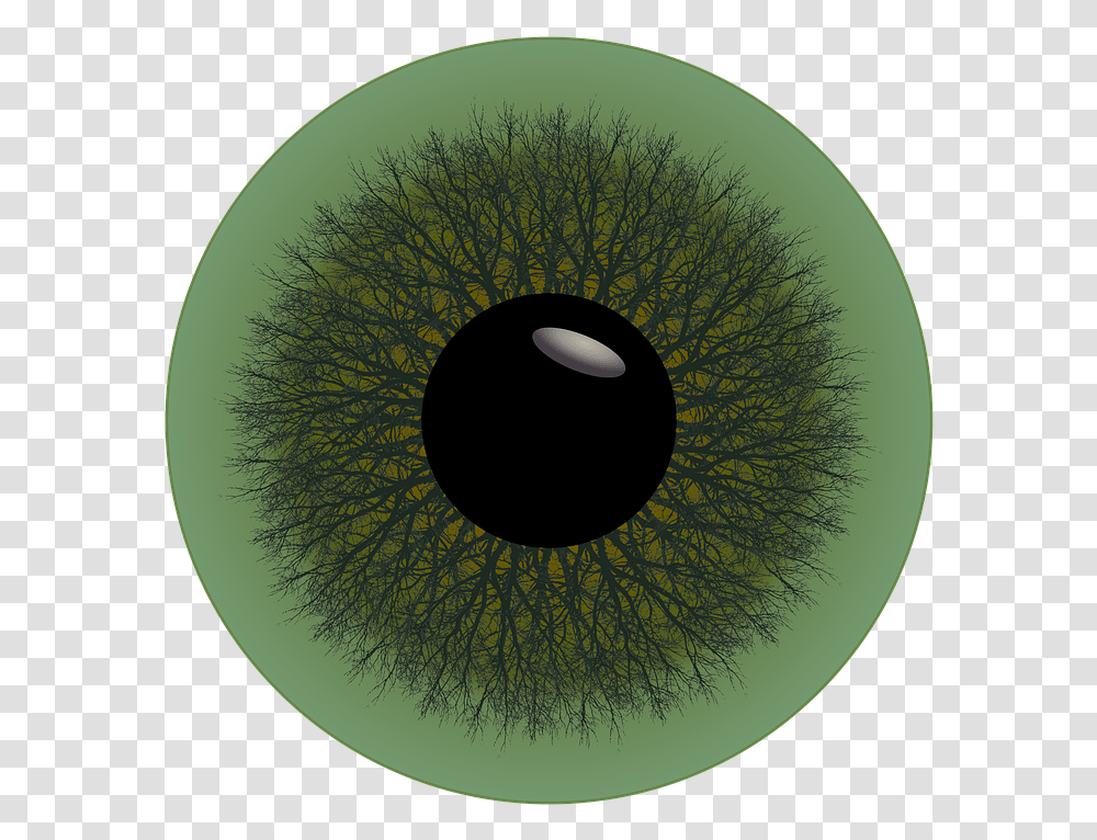 Eye Iris Green Trees Circle Pupil Sight Looking Circle, Sphere, Pattern Transparent Png