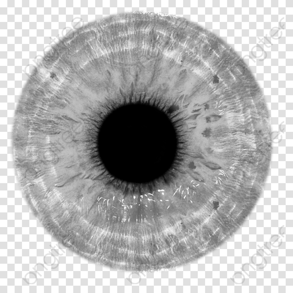 Eye Iris, Moon, Outer Space, Night, Astronomy Transparent Png