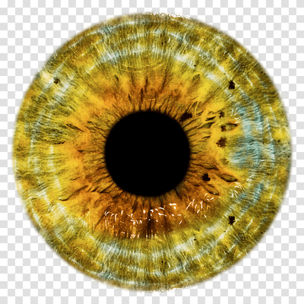 Eye Iris, Sphere, Photography, Hole, Fractal Transparent Png