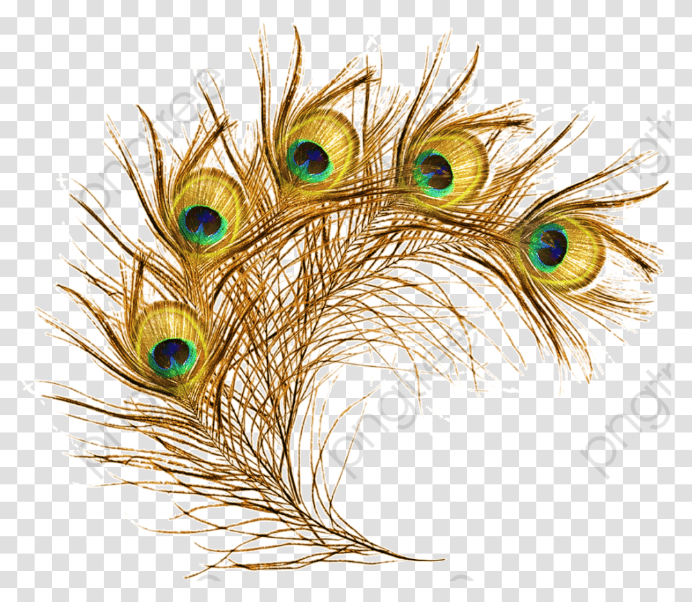 Eye Krishna Peacock Feather, Bird, Animal, Carnival, Crowd Transparent Png