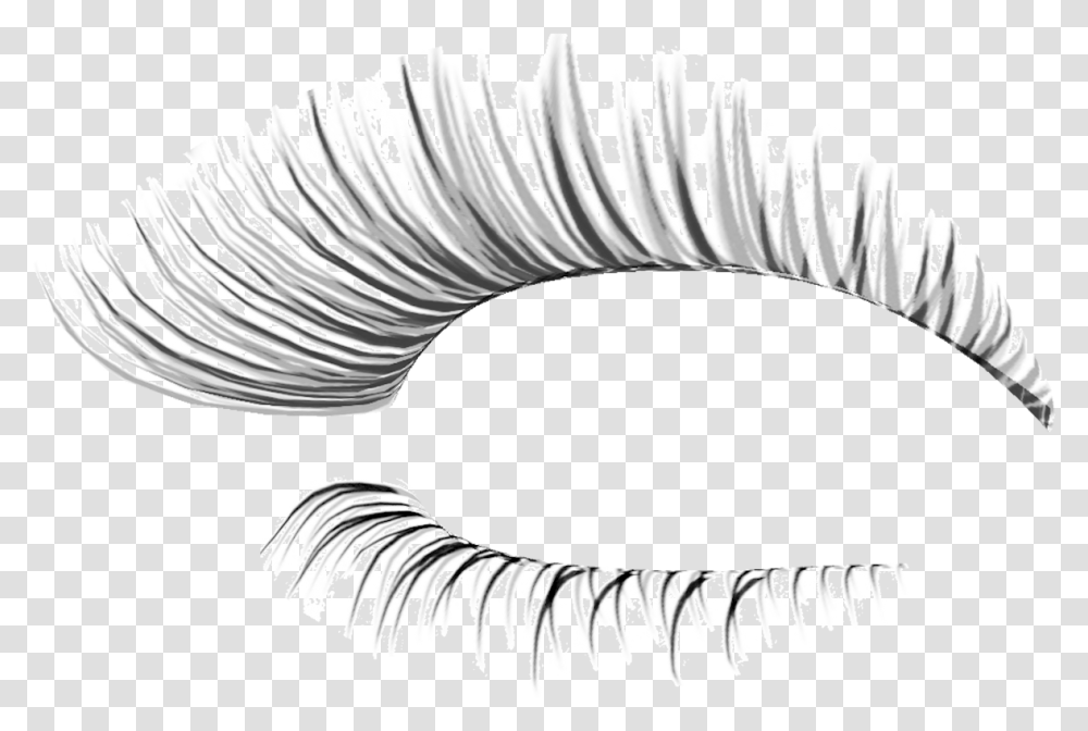 Eye Lash Extension Background Fake Eyelashes, Brush, Tool, Accessories, Accessory Transparent Png
