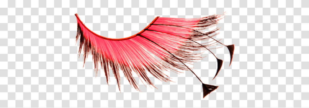 Eye Lashes Eyelash, Wire, Cable Transparent Png