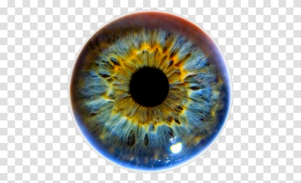Eye Orange Iris Eye, Outer Space, Astronomy, Universe, Fungus Transparent Png