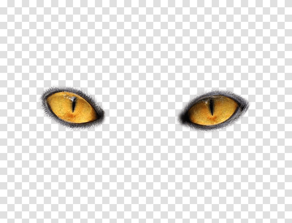 Eye, Person, Animal, Hole, Face Transparent Png